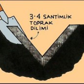 3-4 santimlik toprak dilimi